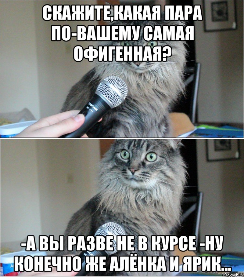 Скажите,какая пара по-вашему самая офигенная? -а вы разве не в курсе -Ну конечно же Алёнка и Ярик..., Комикс  кот с микрофоном