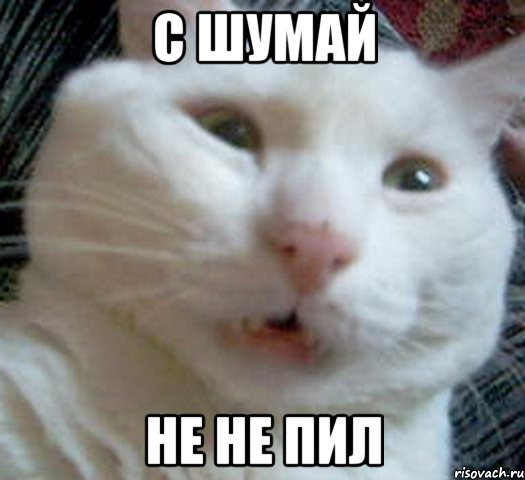 С шумай Не не пил