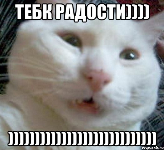 Тебк радости)))) )))))))))))))))))))))))))))), Мем Котэ позитивный