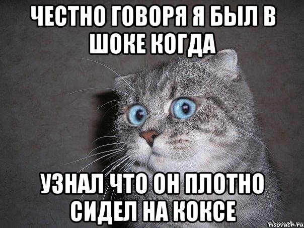 Честно говоря я был в шоке когда узнал что он плотно сидел на коксе, Мем  удивлённый кот