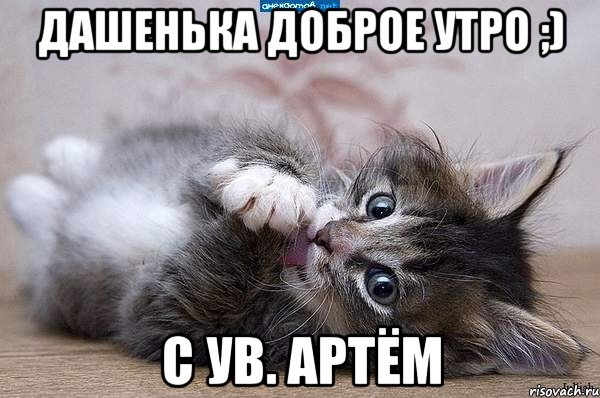 дашенька доброе утро ;) с ув. Артём, Мем  котенок