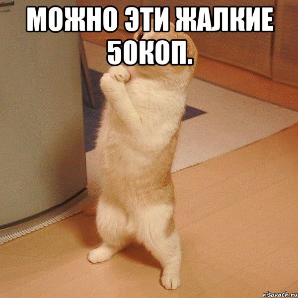 Можно эти жалкие 50коп. , Мем  котэ молится