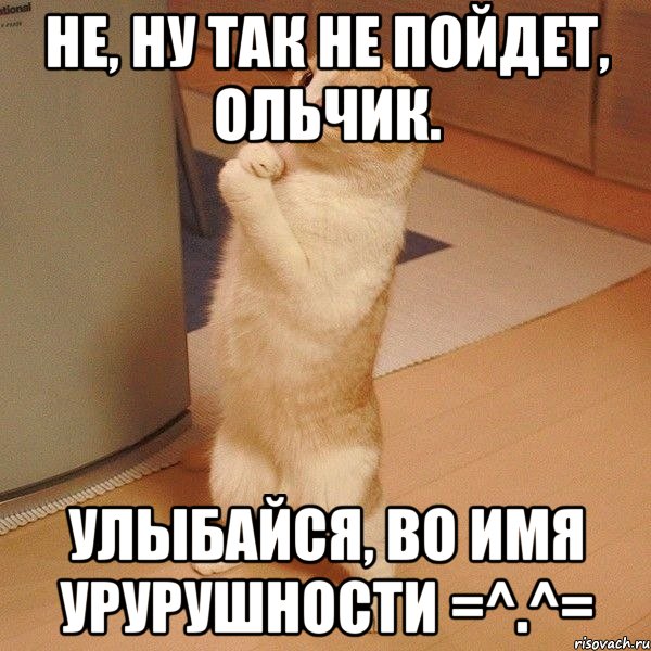 Не, ну так не пойдет, Ольчик. Улыбайся, во имя урурушности =^.^=, Мем  котэ молится