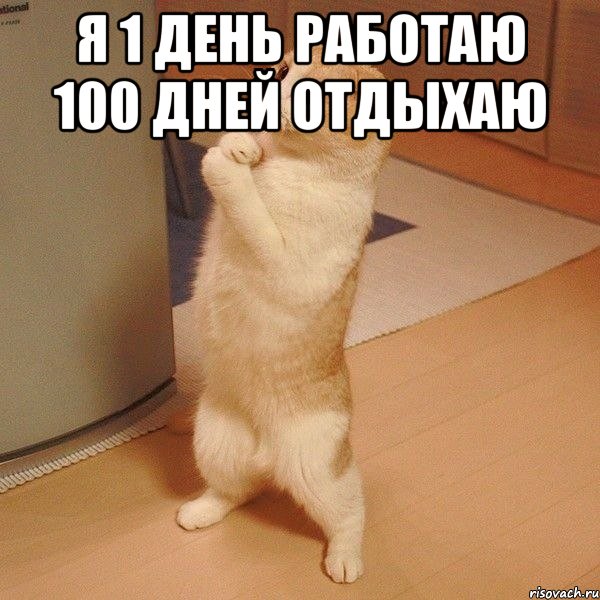 я 1 день работаю 100 дней отдыхаю , Мем  котэ молится