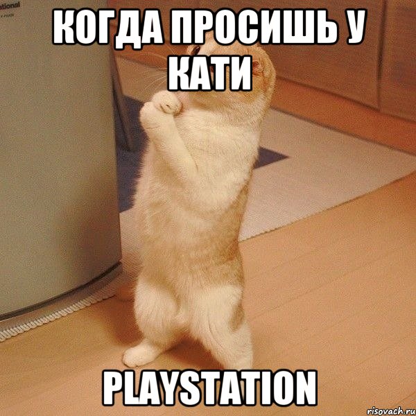 когда просишь у Кати PlayStation, Мем  котэ молится