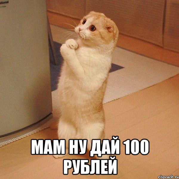  мам ну дай 100 рублей, Мем  котэ молится