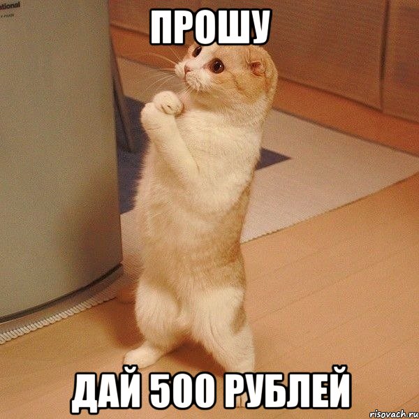 Прошу Дай 500 рублей, Мем  котэ молится