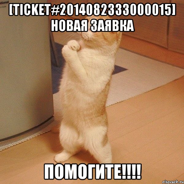 [Ticket#2014082333000015] Новая заявка помогите!!!!, Мем  котэ молится