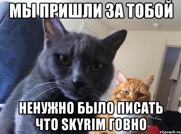 Мы пришли за тобой Ненужно было писать что Skyrim говно