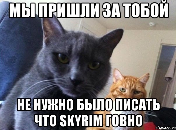 Мы пришли за тобой Не нужно было писать что Skyrim говно, Мем  Два котэ