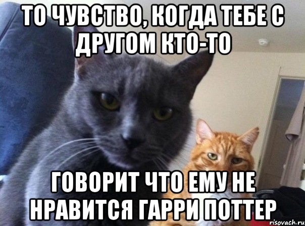 То чувство, когда тебе с другом кто-то говорит что ему не нравится Гарри Поттер, Мем  Два котэ