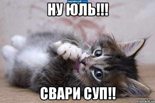 НУ Юль!!! Свари суп!!, Мем  котенок