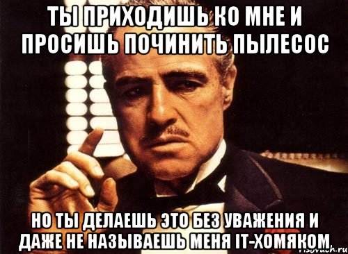 Ты приходишь ко мне и просишь починить пылесос Но ты делаешь это без уважения и даже не называешь меня IT-хомяком, Мем крестный отец