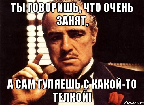 ты говоришь, что очень занят, А сам гуляешь с какой-то телкой!, Мем крестный отец