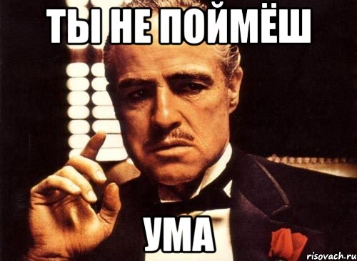 ты не поймёш ума, Мем крестный отец