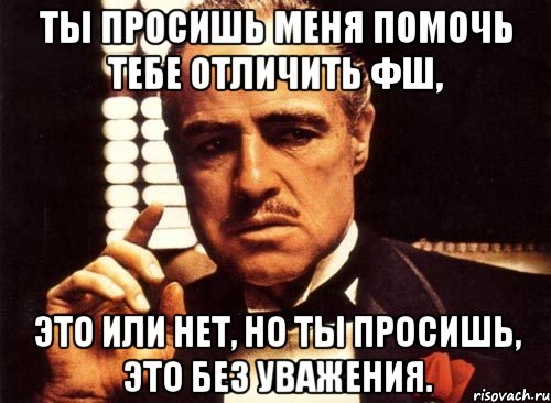 Ты просишь меня помочь тебе отличить фш, это или нет, но ты просишь, это без уважения., Мем крестный отец