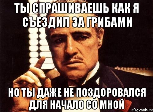 ты спрашиваешь как я съездил за грибами но ты даже не поздоровался для начало со мной, Мем крестный отец