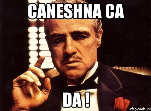 CANESHNA CA DA !, Мем крестный отец