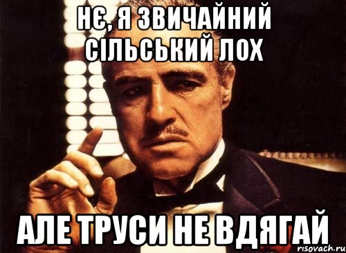 нє, я звичайний сільський лох але труси не вдягай, Мем крестный отец