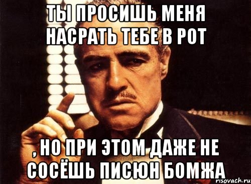 Ты просишь меня насрать тебе в рот , но при этом даже не сосёшь писюн бомжа, Мем крестный отец