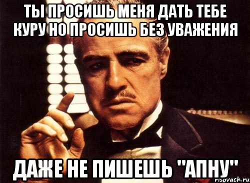 Ты просишь меня дать тебе куру но просишь без уважения даже не пишешь "апну", Мем крестный отец