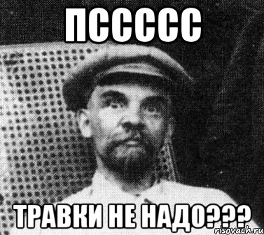 Пссссс Травки не надо???, Мем   Ленин удивлен