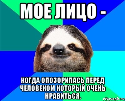 Мое лицо - когда опозорилась перед человеком который очень нравиться., Мем Ленивец