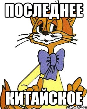 последнее китайское, Мем Кот Леопольд