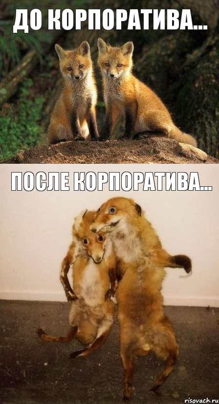 До корпоратива... После корпоратива..., Комикс Лисицы