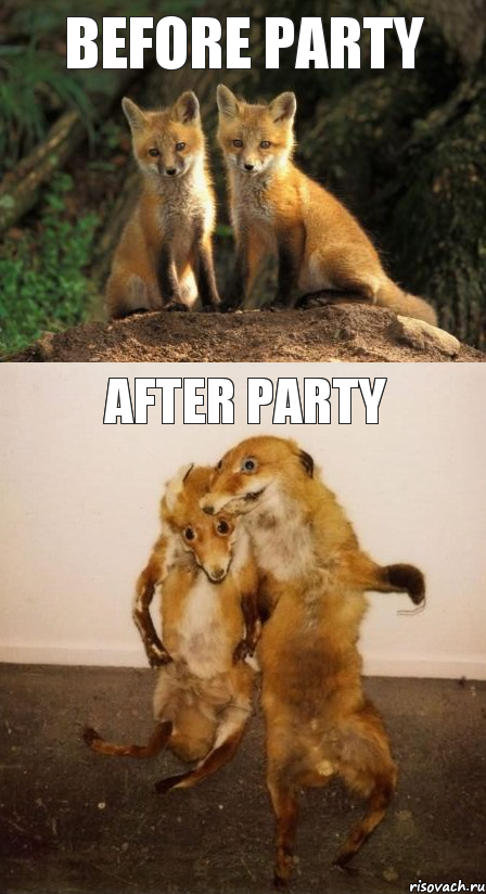 before party After party, Комикс Лисицы