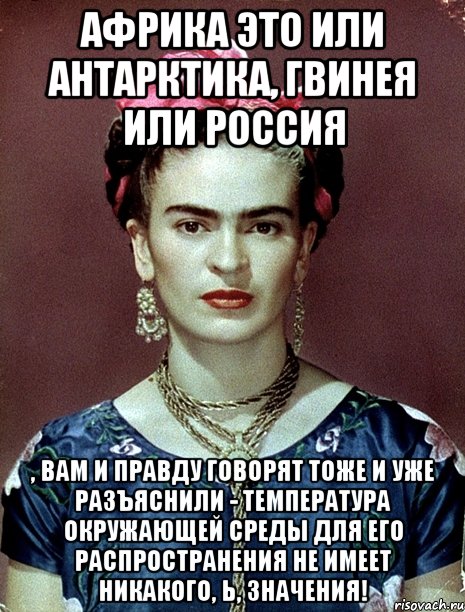 Африка это или Антарктика, Гвинея или Россия , вам и правду говорят тоже и уже разъяснили - температура окружающей среды для его распространения не имеет никакого, Ь, значения!, Мем Magdalena Carmen Frieda Kahlo Ca