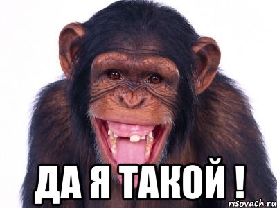  Да я такой !, Мем мавпа