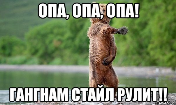 Опа, опа, опа! Гангнам стайл рулит!!