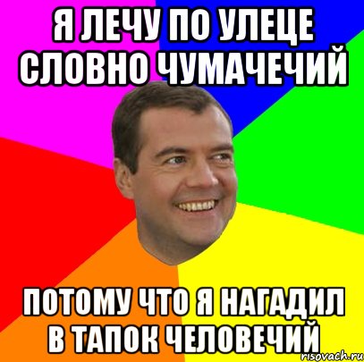 я лечу по улеце словно чумачечий потому что я нагадил в тапок человечий, Мем  Медведев advice