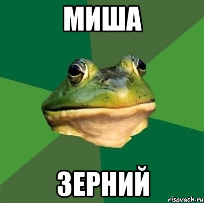 Миша Зерний