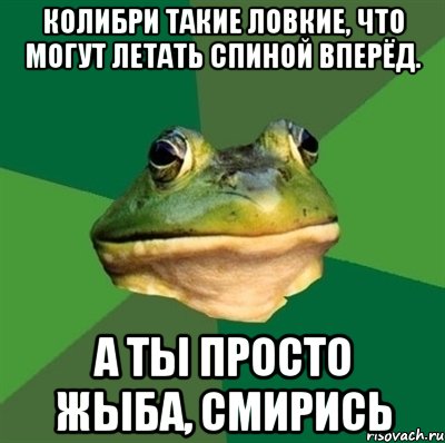 Колибри такие ловкие, что могут летать спиной вперёд. А ты просто жыба, смирись, Мем  Мерзкая жаба