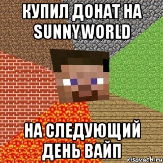 Купил донат на SunnyWorld На следующий день вайп, Мем Миникрафтер