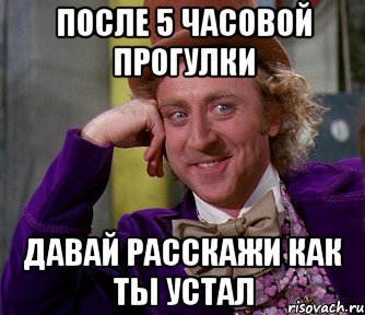 после 5 часовой прогулки давай расскажи как ты устал