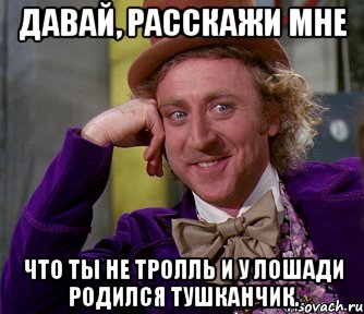 Давай, расскажи мне что ты не тролль и у лошади родился тушканчик., Мем мое лицо