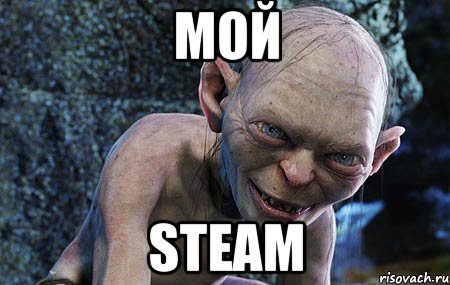 мой steam