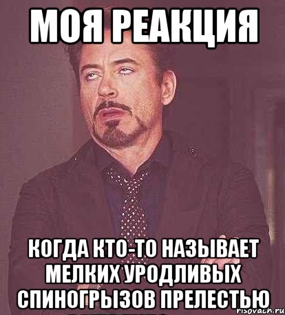 моя реакция когда кто-то называет мелких уродливых спиногрызов прелестью, Мем  Мое выражение лица (вертик)