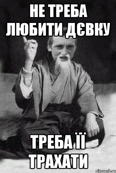 Не треба любити дєвку треба її трахати, Мем Мудрий паца