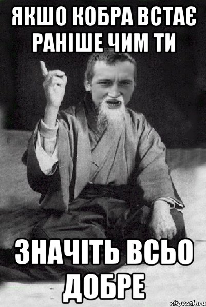якшо кобра встає раніше чим ти значіть всьо добре, Мем Мудрий паца