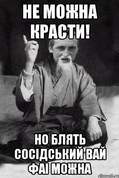 Не можна красти! Но блять сосідський вай фаі можна, Мем Мудрий паца