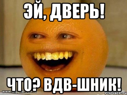 Эй, дверь! Что? ВДВ-шник!