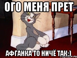 Ого меня прет Афганка то ничё так:), Мем Наглый том