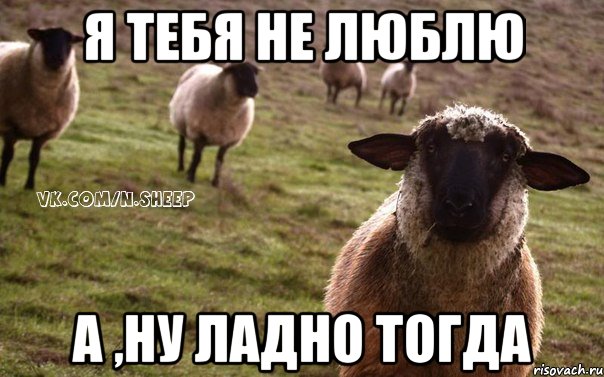 Я тебя не люблю А ,ну ладно тогда, Мем  Наивная Овца