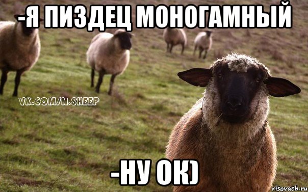 -я пиздец моногамный -ну ок), Мем  Наивная Овца
