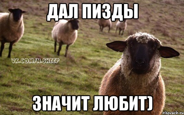 Дал пизды значит любит), Мем  Наивная Овца