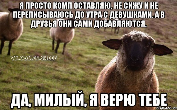 Я просто комп оставляю, не сижу и не переписываюсь до утра с девушками. А в друзья они сами добавляются. Да, милый, я верю тебе, Мем  Наивная Овца